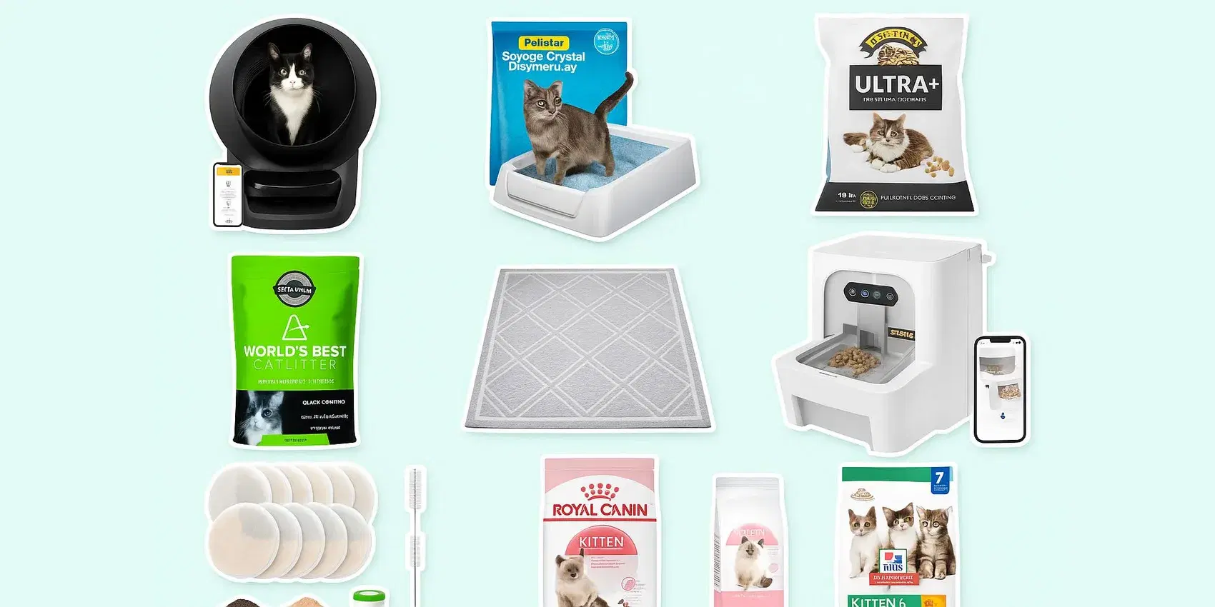 New Kitten Starter Kit